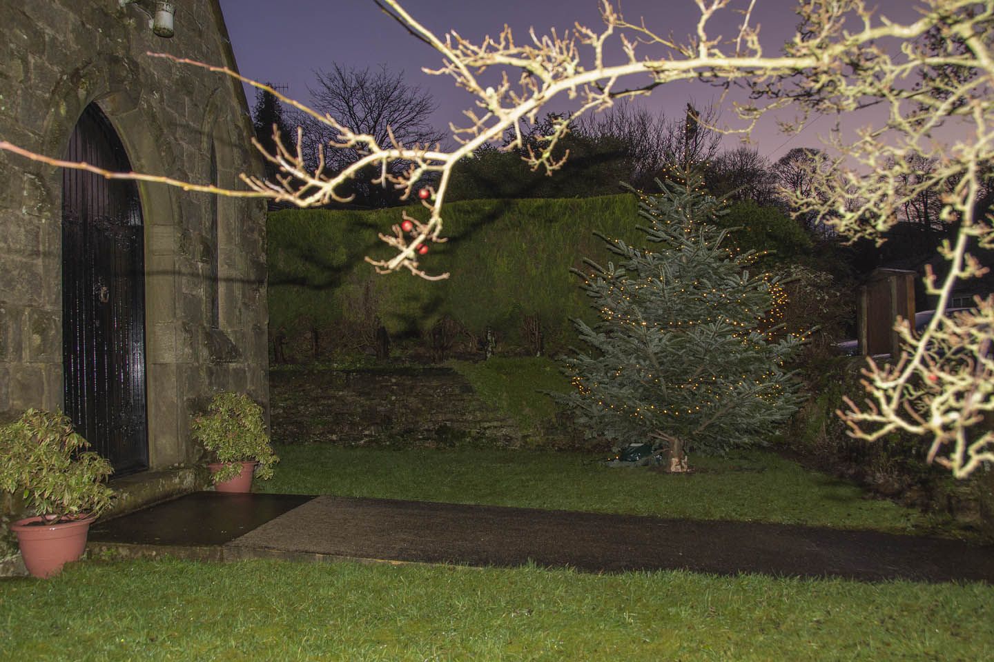 Picture of Christmas tree in churchyard